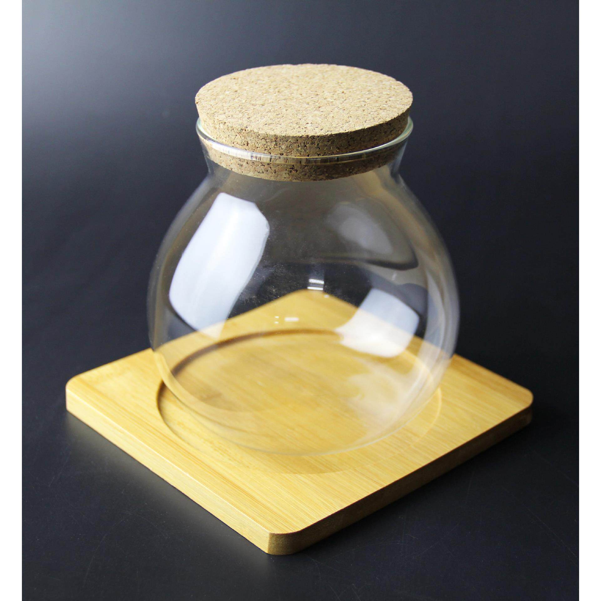 微景观生态瓶 木塞玻璃瓶 苔藓DIY制作容器 带灯木塞玻璃瓶桌