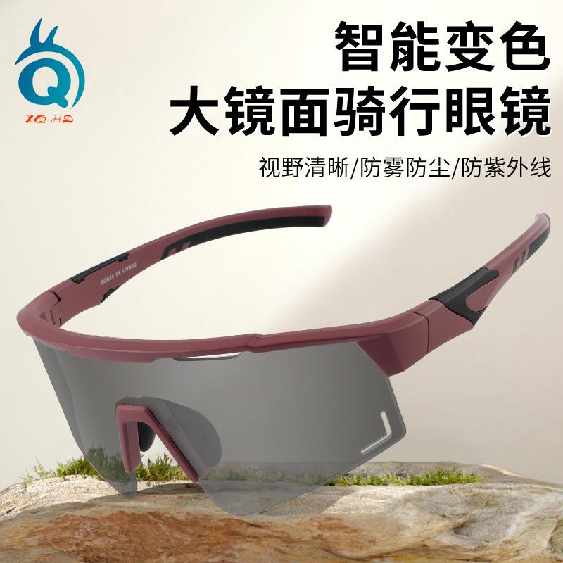 跨境新款日夜两用防雾骑行眼镜户外运动马拉松眼镜山地车护目防风