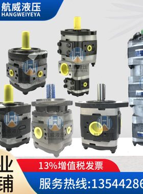 8/AP.16-32/20/5C//IP/25V福/V伊特IP/P3/10/IP/3/3.5V4//6IP13泵