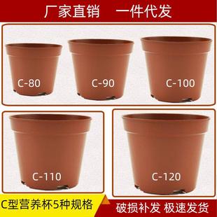 C育苗型营养杯圆形钵塑料花盆盆栽绿植培植棕色[厂价大量直供]