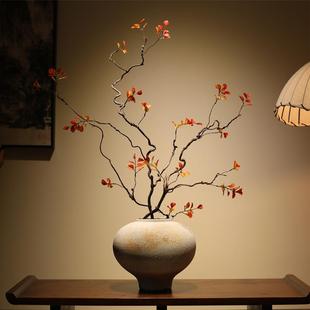 龙枣枝干枝天然枯木干树枝装饰侘寂风花瓶禅意插花客厅干花摆件