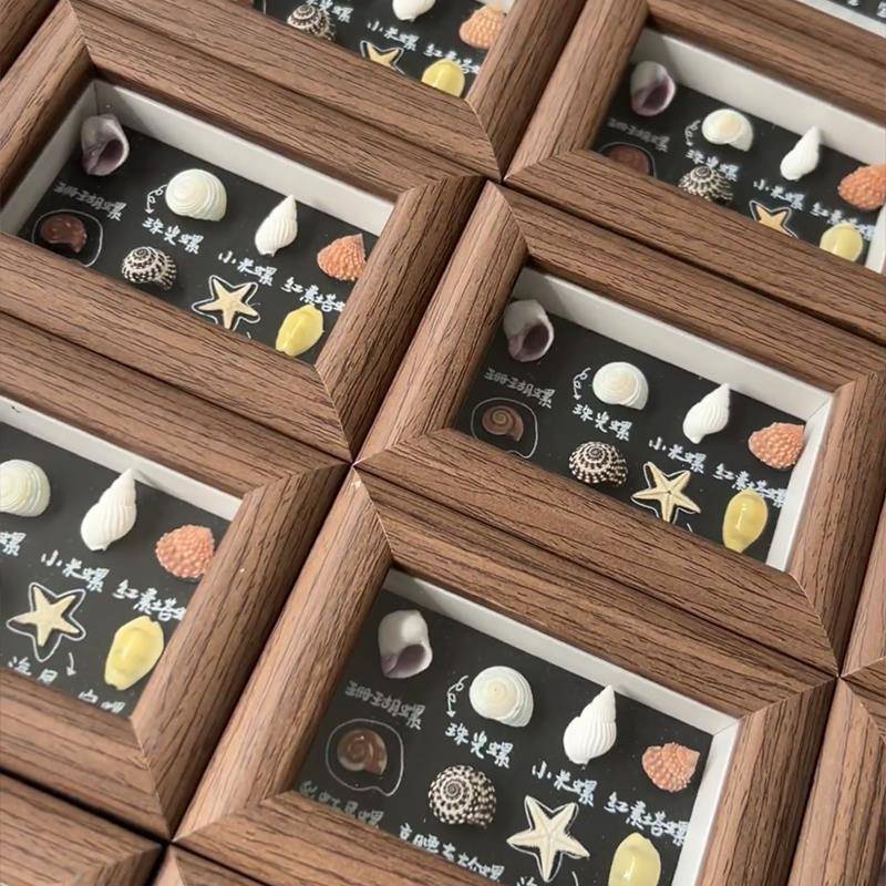 天然贝壳海螺diy制作标本挂画手工艺品摆件相框家居创意装饰制品