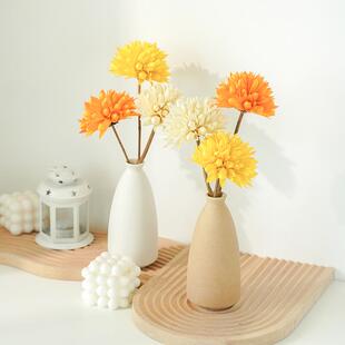 彩色干花玉兰球家居装饰干花花手工粘接真花摆件桌面摆件南栖于野