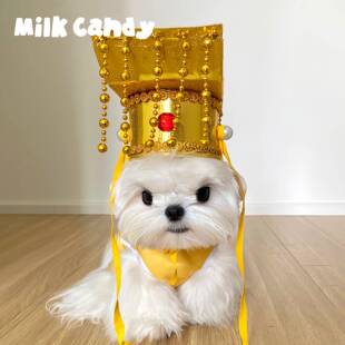 宠物皇帝帽小狗帽子猫咪头套网红狗狗搞笑头饰小猫猫搞怪拍照装扮