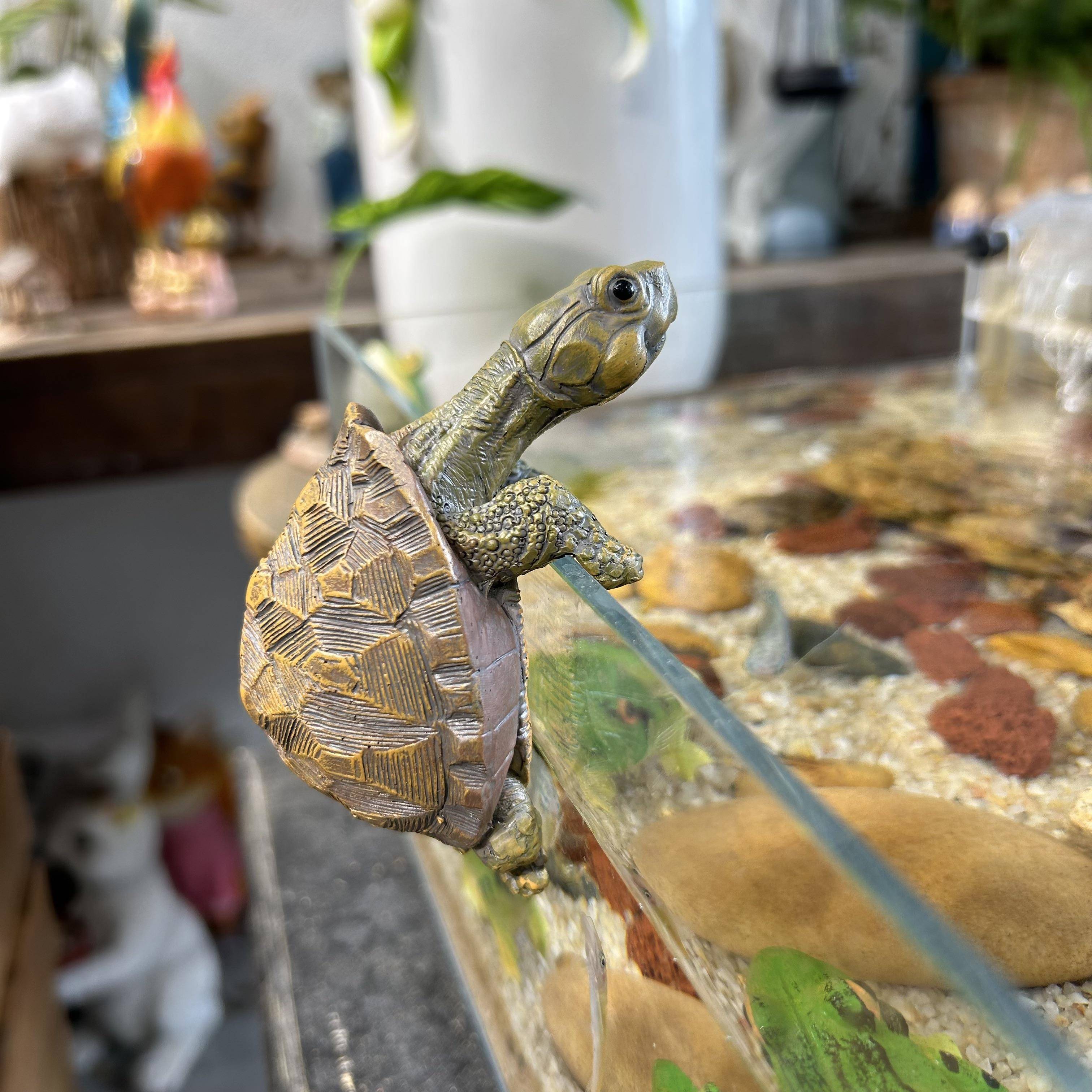 乌龟盆挂【大号10厘米】缸挂鱼缸花盆造景摆件 水缸玻璃鱼缸水族