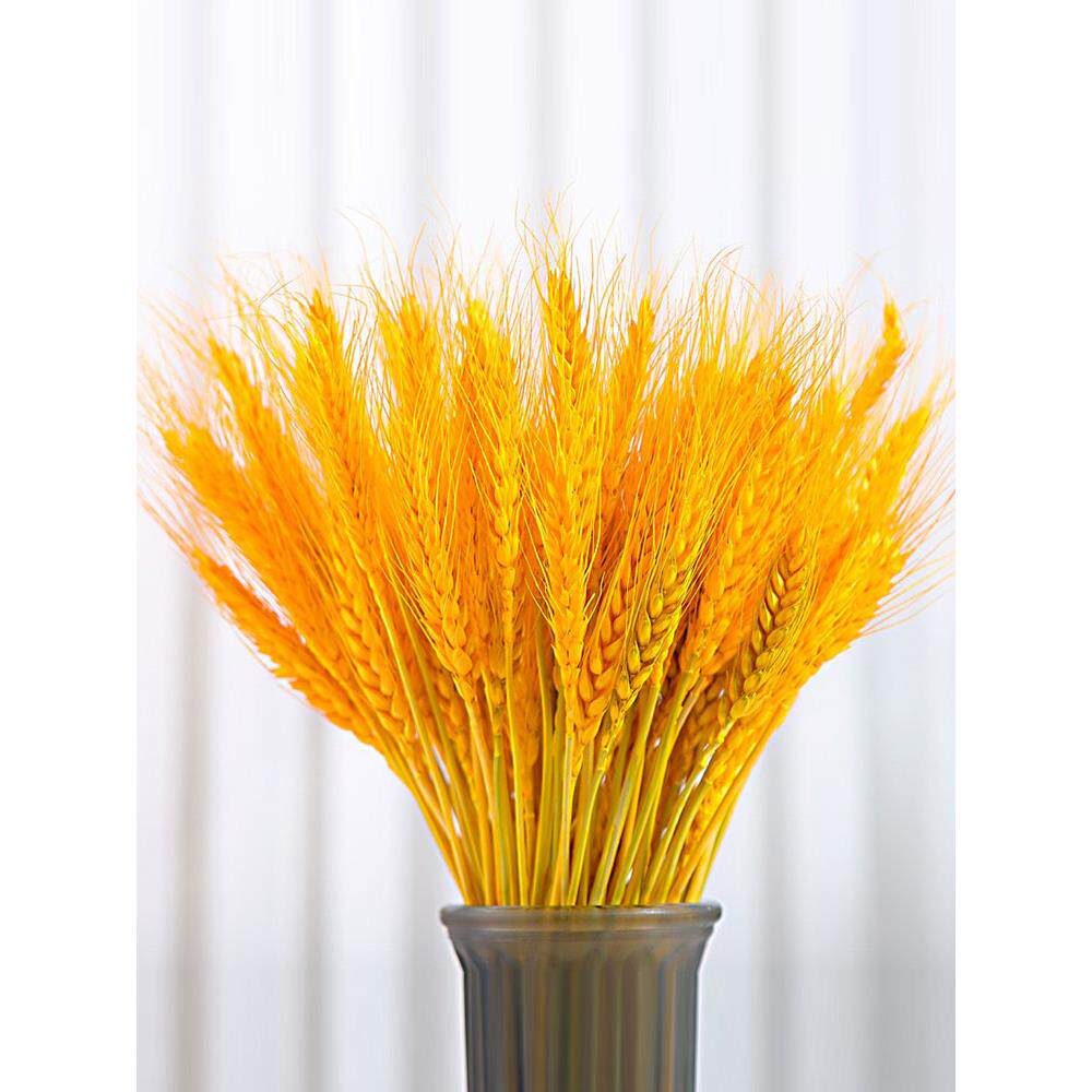 黄金麦穗天然干花束开业装饰品金色大麦田园插花摆件道具招财礼品