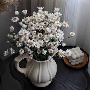 干花真花风干天然鲁丹鸟小雏菊干花洋甘菊客厅摆设干花花束摆件