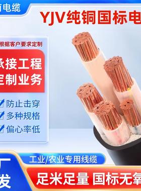 江南电缆电线国标铜芯3芯6平方yjv电缆线1.5 2.5 4户外电力工程