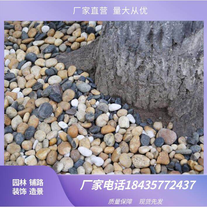 陜西天然鹅卵石沼泽过滤石头地暖找平回填专用豆石水洗滤料水处理
