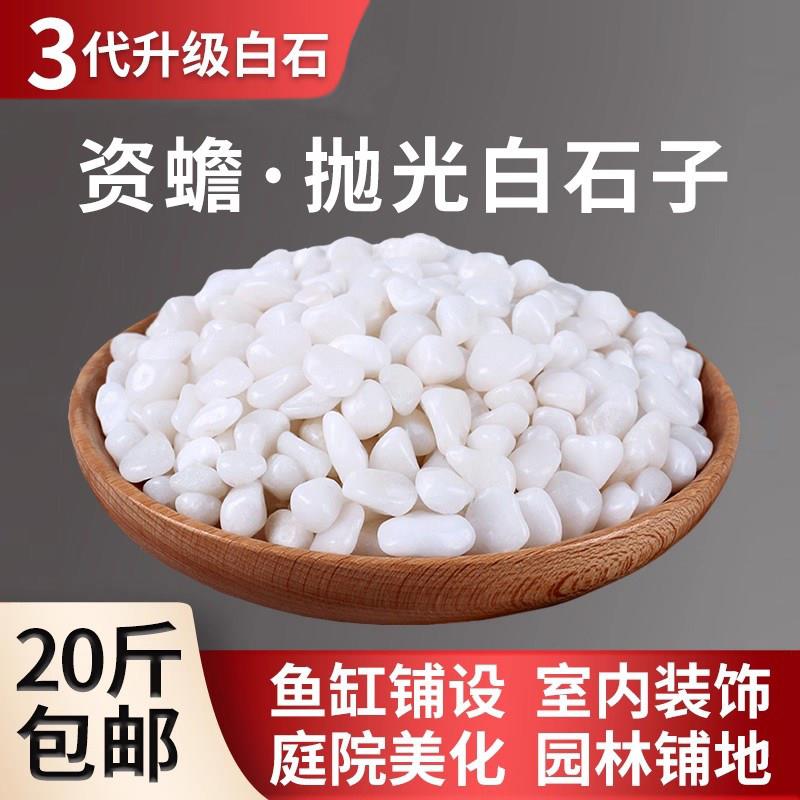 白色鹅卵石大小鹅软石天然雨花石原石庭院石头阳台造景铺地白石子