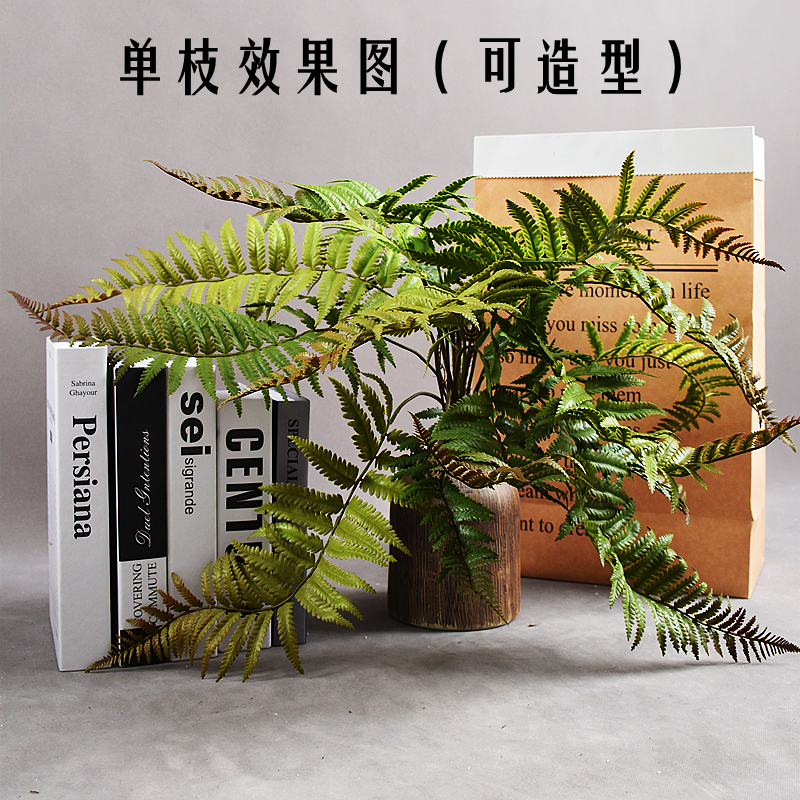 仿真花手感蕨叶波斯叶蕨类植物橱窗造景绿植背景墙面餐厅装饰摆件