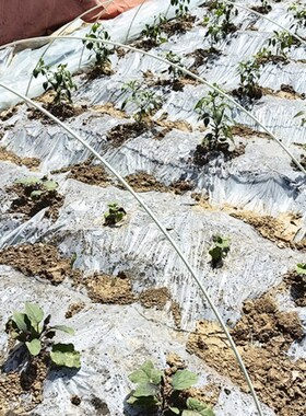 拱棚杆支架大棚新型玻璃纤维纤维杆高弹性骨架防雨农用菜棚保温实