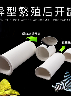水族异型鱼鼠鱼陶瓷躲避罐繁殖罐胡子大帆L333孵化罐产卵罐后开罐