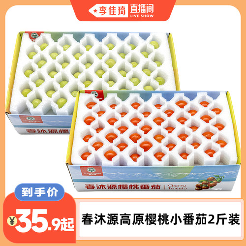 春沐源高原樱桃多彩小番茄