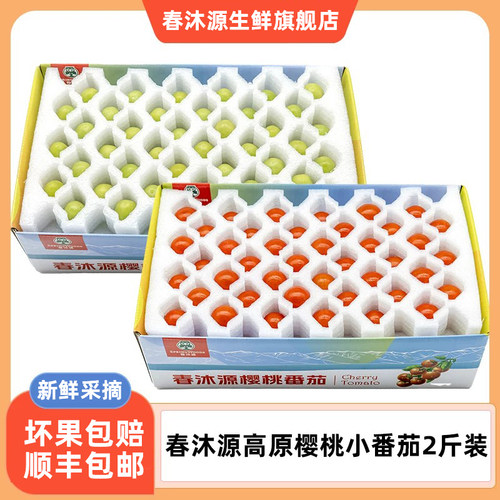 春沐源高原樱桃多彩小番茄