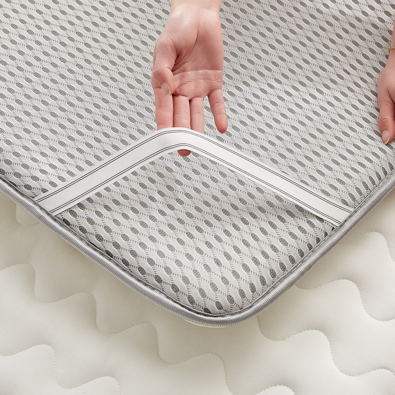 大豆床垫软垫家用褥子垫被榻榻米非乳胶床褥垫子双人床学生宿舍款