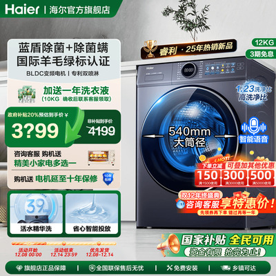 海尔12公斤滚筒XQG120-SE67EU1