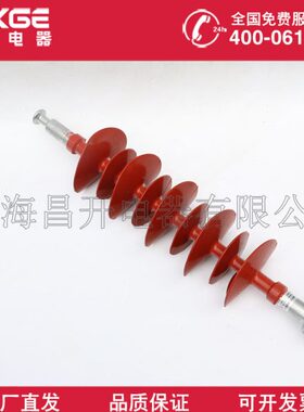 -WB悬6复合式6FX6B4FXV-式/4K0W116复合悬0-绝缘子70绝缘子10