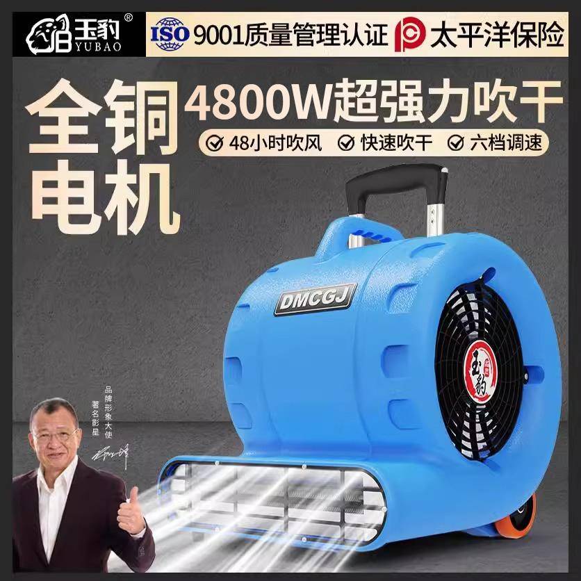 吹干机小型商用大功率干燥强力吹风地毯厕所地面地板除湿吹地机