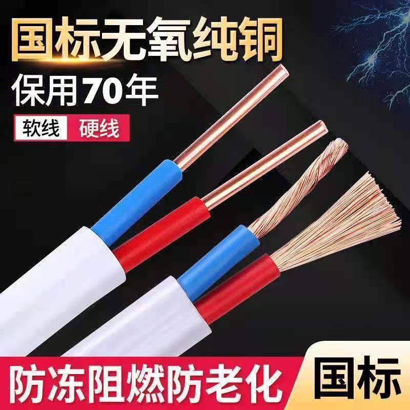 珠江纯铜电线 线双芯BVVB/RVVB纯铜芯护套线 线2.5/4/6平方电缆家