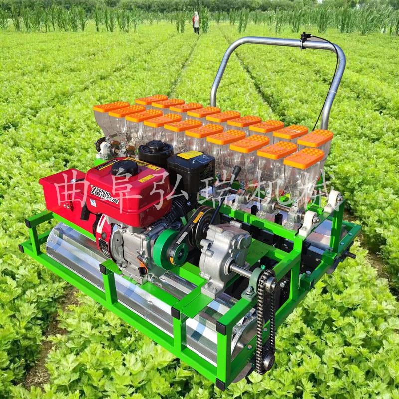 多功能小型药材种植机s汽油多行韭菜芹菜播种机蔬菜点播机厂家