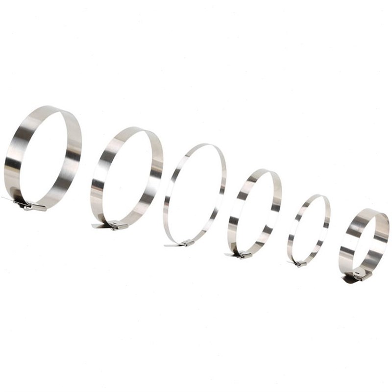 伏兴滚珠自锁式304不锈钢扎带船用金z属捆扎带标牌扎带7.9*250mm1