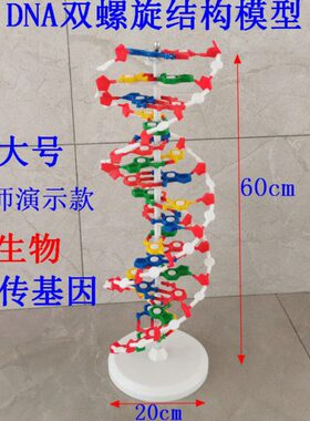 带60模型cm传0基因遗生物底座实验N结构旋转螺旋器材6D可双333A