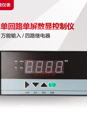 WP-Z804-01-09-2H2L单屏数显控制仪表