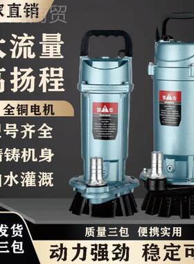 上海WLV人款潜v泵小型全铜220家用高扬程农田水灌民溉大流量抽水