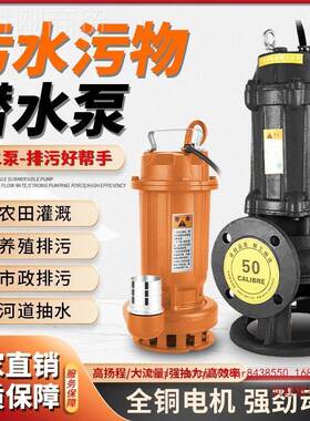 粪污水泵220v全铜30809家沼气化粪池抽V泥浆用切割排污泵380工业