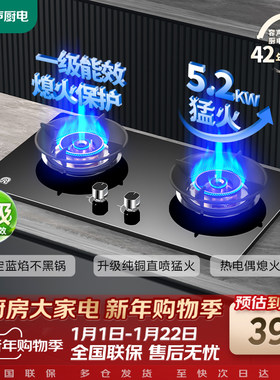 【包安装】容声燃气灶定时双灶