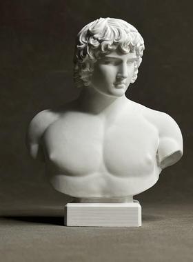 安提诺乌斯石膏雕塑桌面摆件装饰道具古典艺术书架商业陈设道具