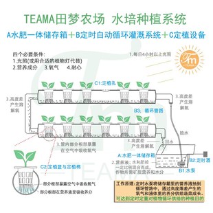 管道无土栽培种植设备阳台自动循环水培种菜机立体水耕庭院室内