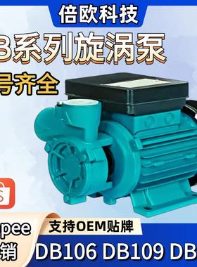 DB系列旋涡泵110V60Hz美规220V60Hz欧规外贸DB125自来水增压泵