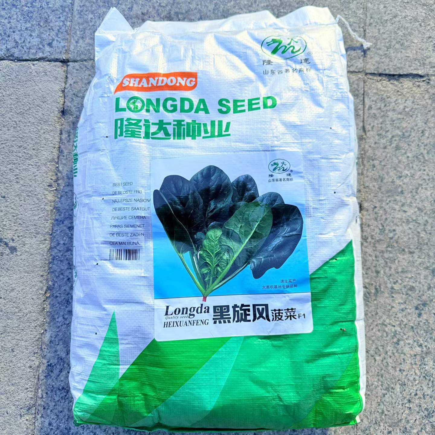 隆达黑旋风菠菜种子高产易种