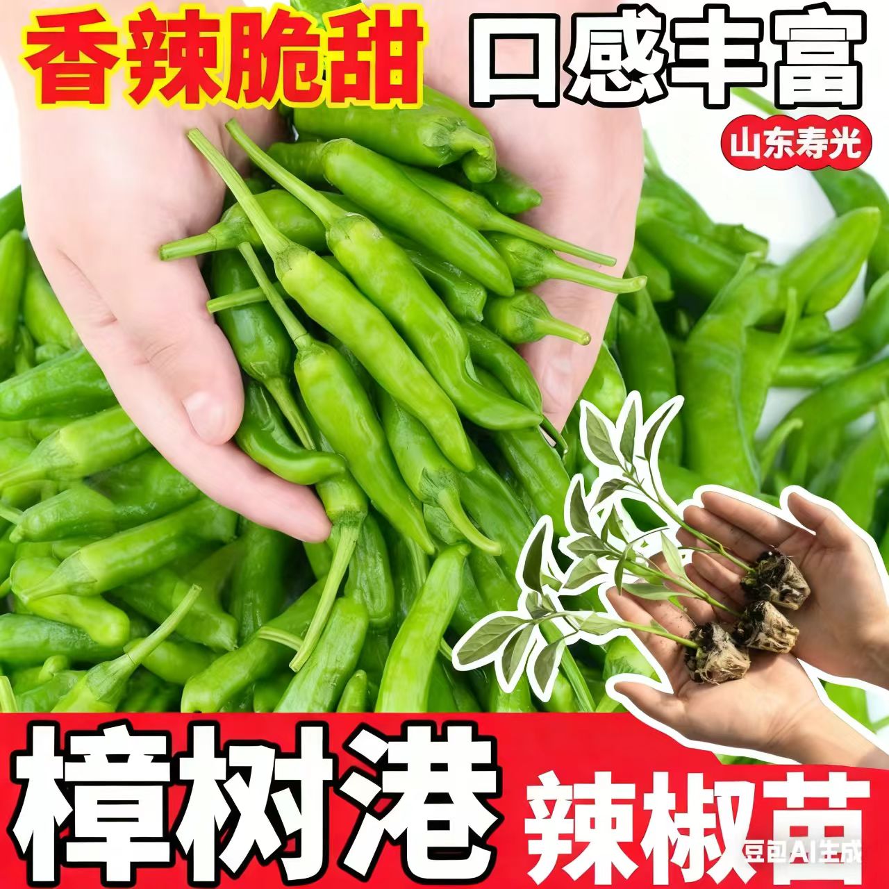 樟树港辣椒苗青椒苗蔬菜苗