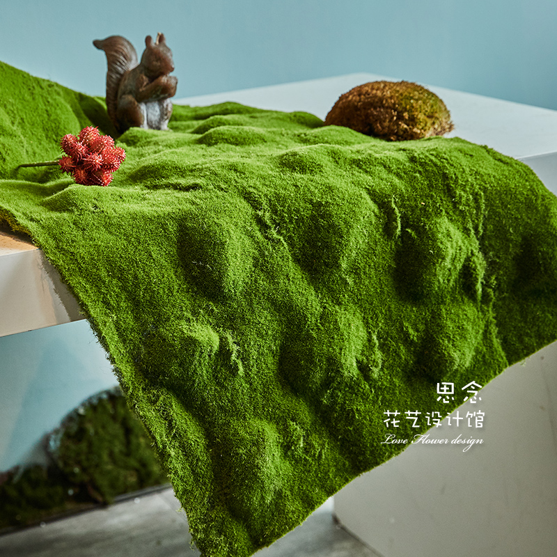 仿真软苔藓造景苔藓微景观假苔绿植墙假草皮植物打底青苔假苔藓草