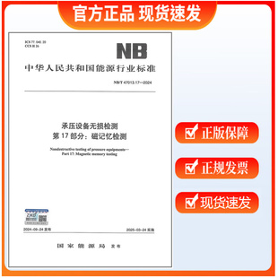 NB/T 47013.17-2024 承压设备无损检测 第17部分:磁记忆检测