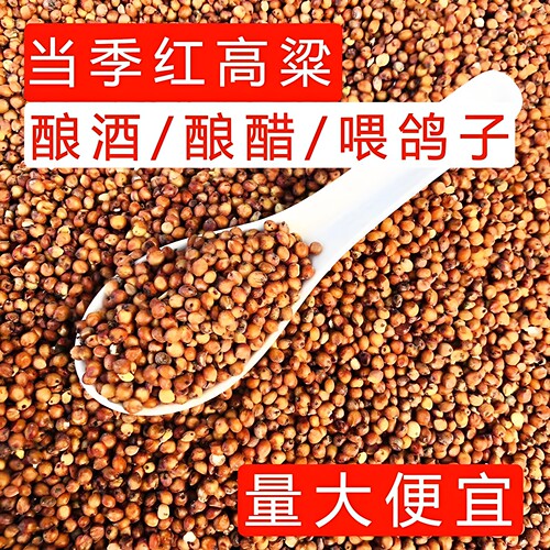 新货带壳红高粱米酿酒酿醋