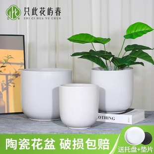 陶瓷大花盆大口径阳台客厅中小花盆纯白圆形绿萝百搭客厅阳台花盆