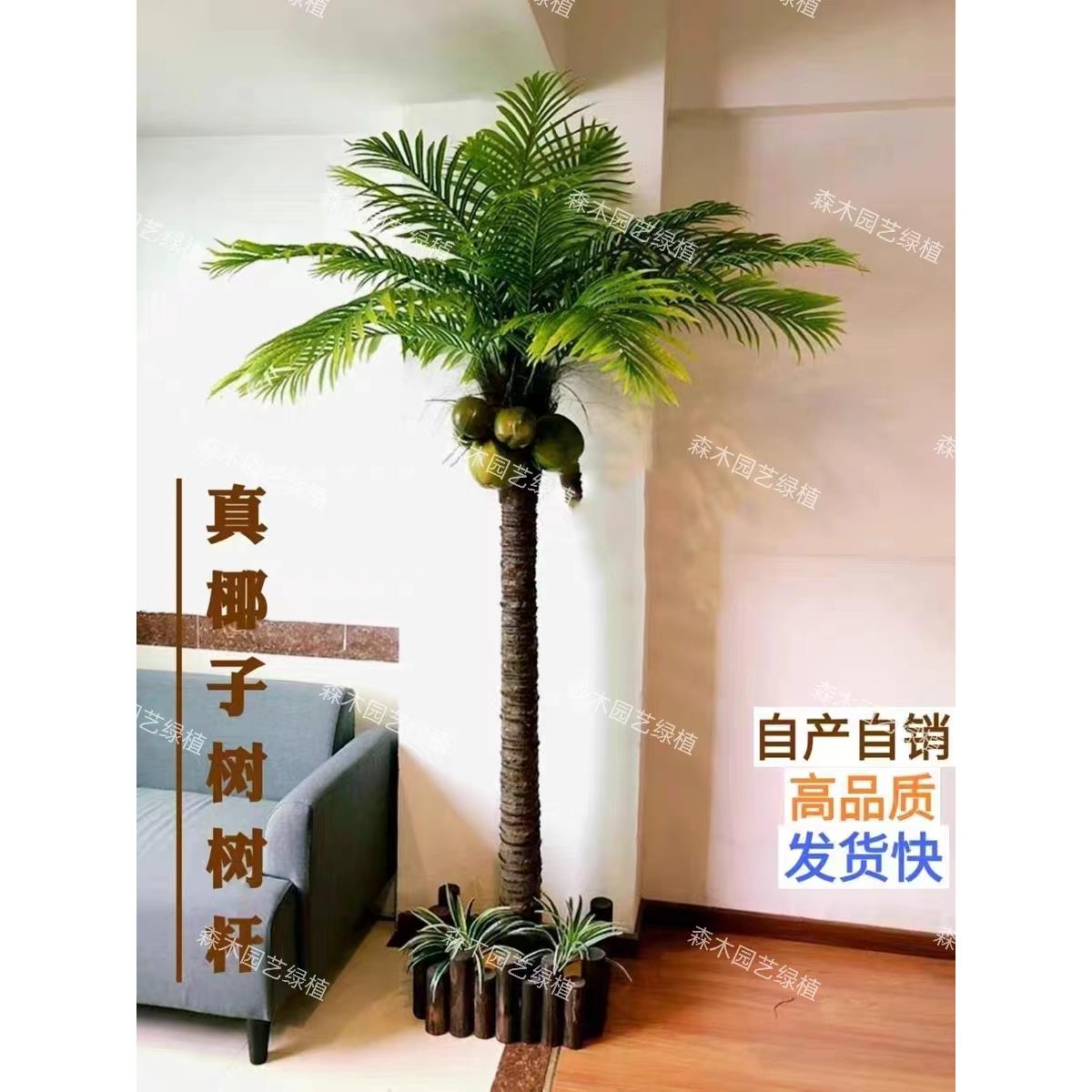 仿真椰子树假树室内外酒店商场装饰真树干椰树棕榈树落地摆放植物