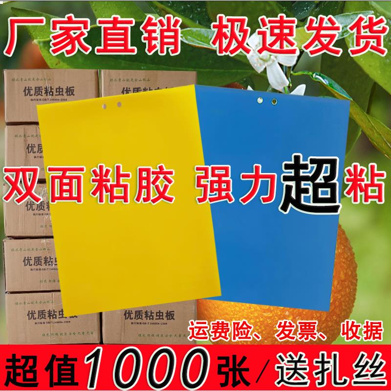 粘虫板黄板双面诱虫板蓝板蓟马贴飞虫粘粉虱杀小黑飞大棚果园茶园