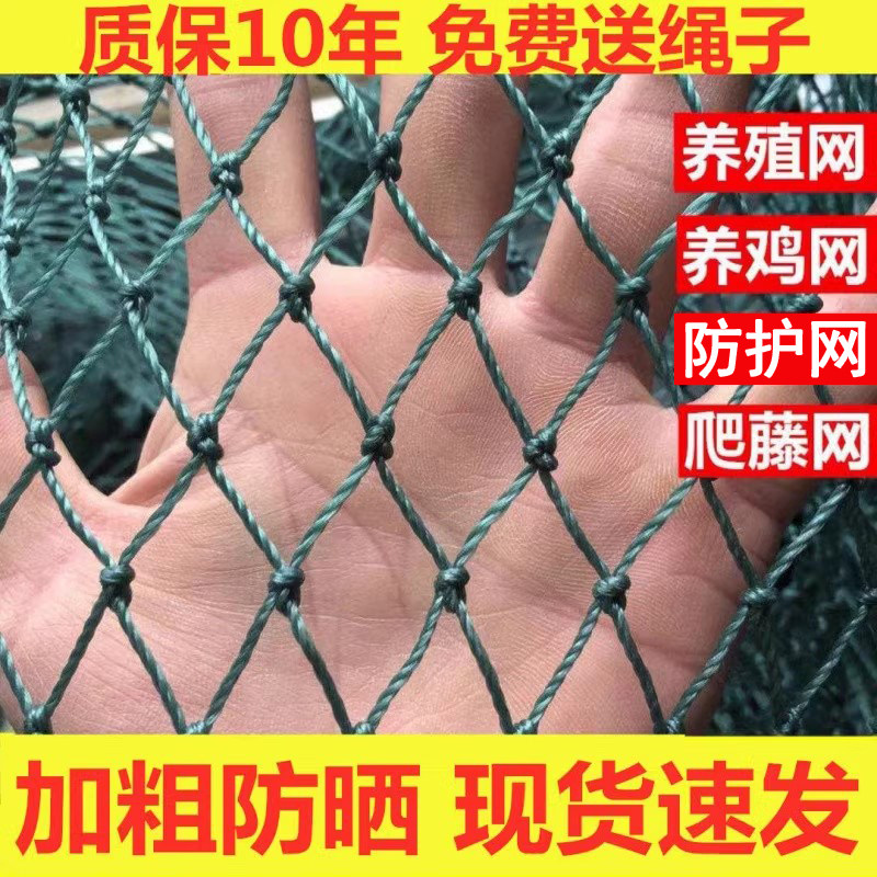 养鸡网拦鸡网渔网养殖网围栏网尼龙菜园围网爬藤网格鸡网防护鱼网