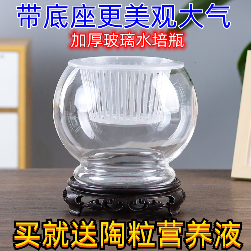 带底座水培瓶植物透明玻璃花瓶容器绿萝花盆鱼花共养缸水养摆件器