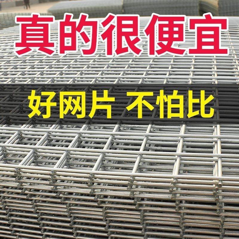 镀锌网片铁丝网围栏加粗电焊网漏粪护栏钢丝热镀锌电焊网片建筑网