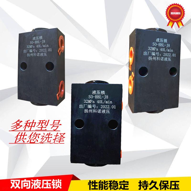 双向液压锁缸支腿升降锁止阀吊车保压阀液压械设备配件管式安全阀