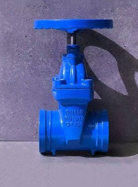 蓝色Z85X-16卡箍连接沟槽式暗杆弹性座封闸阀 软密封闸阀DN65-200