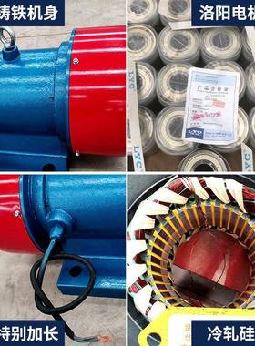 厂家电机10-6YZS系列380V三相振动2.2/0.75W全铜线振动电工