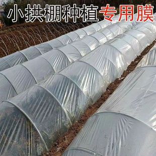 大棚内膜二膜二层膜中膜小拱棚透明白膜砂糖橘1.4 6s保温塑料薄膜