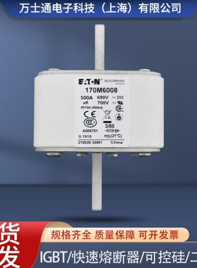 现货巴斯曼熔断器170M6008 170M6009170M6010 170M6058 170M6060